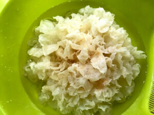 Picture of snow fungus after it has been soaked.