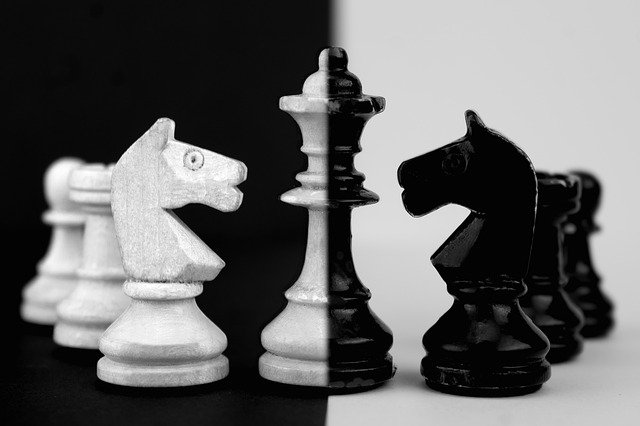 Black and white chess pieces