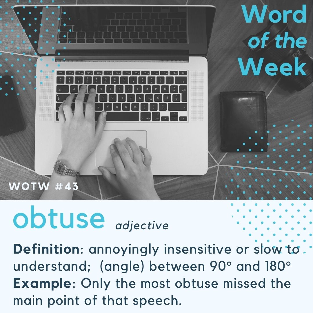 Obtuse Rude Way wotw #43 obtuse ⋆ ZINFINITY CONSULTING